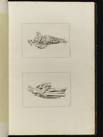 Oben: Mezzetino; unten: Drehleierspieler