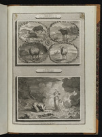 Dan 8,1: Daniels Vision vom Widder und Ziegenbock. Dan 10,1: Daniels dritte Vision